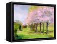Canvas Black