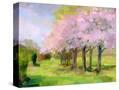 Stretched Canvas