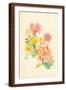 Brown Frame