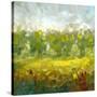 Stretched Canvas
