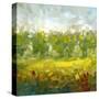 Stretched Canvas