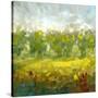 Stretched Canvas
