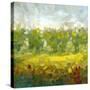 Stretched Canvas