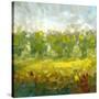 Stretched Canvas