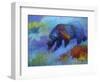 Denali Grizzly-Marion Rose-Framed Giclee Print