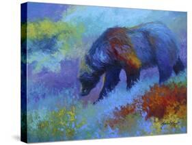 Denali Grizzly-Marion Rose-Stretched Canvas