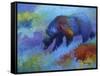 Denali Grizzly-Marion Rose-Framed Stretched Canvas