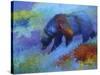 Denali Grizzly-Marion Rose-Stretched Canvas