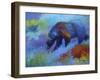 Denali Grizzly-Marion Rose-Framed Giclee Print