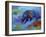 Denali Grizzly-Marion Rose-Framed Giclee Print