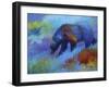 Denali Grizzly-Marion Rose-Framed Giclee Print