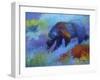 Denali Grizzly-Marion Rose-Framed Giclee Print