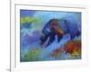 Denali Grizzly-Marion Rose-Framed Giclee Print