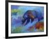 Denali Grizzly-Marion Rose-Framed Giclee Print