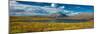 Denali Highway, Route 8, offers views of Mt.Deborah, Mnt. Hess Mountain, & Mt. Hayes Alaska, Alaska-null-Mounted Photographic Print