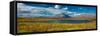 Denali Highway, Route 8, offers views of Mt.Deborah, Mnt. Hess Mountain, & Mt. Hayes Alaska, Alaska-null-Framed Stretched Canvas