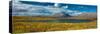 Denali Highway, Route 8, offers views of Mt.Deborah, Mnt. Hess Mountain, & Mt. Hayes Alaska, Alaska-null-Stretched Canvas