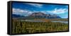 Denali Highway, Route 8, offers views of Mt.Deborah, Mnt. Hess Mountain, & Mt. Hayes Alaska, Alaska-null-Framed Stretched Canvas