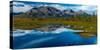 Denali Highway, Route 8, offers views of Mt.Deborah, Mnt. Hess Mountain, & Mt. Hayes Alaska, Alaska-null-Stretched Canvas