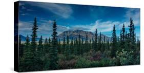 Denali Highway, Route 8, offers views of Mt.Deborah, Mnt. Hess Mountain, & Mt. Hayes Alaska, Alaska-null-Stretched Canvas