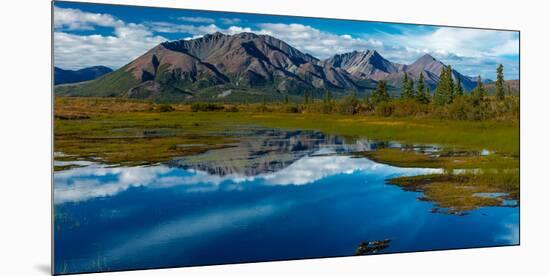 Denali Highway, Route 8, offers views of Mt.Deborah, Mnt. Hess Mountain, & Mt. Hayes Alaska, Alaska-null-Mounted Photographic Print