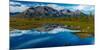 Denali Highway, Route 8, offers views of Mt.Deborah, Mnt. Hess Mountain, & Mt. Hayes Alaska, Alaska-null-Mounted Photographic Print