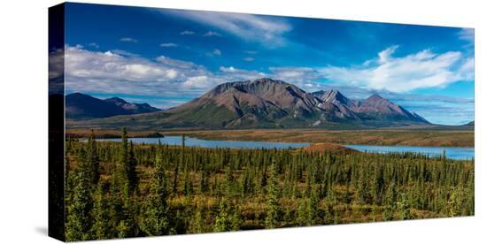 Stretched Canvas Print, , large