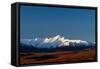 Denali In The Fall On A Clear Day-Lindsay Daniels-Framed Stretched Canvas