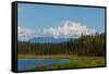 Denali (Mckinley) Peak in Alaska, USA-Andrushko Galyna-Framed Stretched Canvas