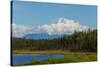 Denali (Mckinley) Peak in Alaska, USA-Andrushko Galyna-Stretched Canvas