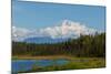 Denali (Mckinley) Peak in Alaska, USA-Andrushko Galyna-Mounted Photographic Print