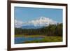 Denali (Mckinley) Peak in Alaska, USA-Andrushko Galyna-Framed Photographic Print