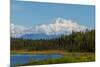 Denali (Mckinley) Peak in Alaska, USA-Andrushko Galyna-Mounted Photographic Print