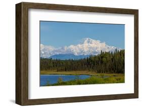 Denali (Mckinley) Peak in Alaska, USA-Andrushko Galyna-Framed Photographic Print