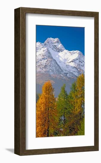 Denali Mount Mckinley Alaska-null-Framed Art Print