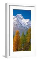 Denali Mount Mckinley Alaska-null-Framed Art Print