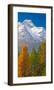 Denali Mount Mckinley Alaska-null-Framed Art Print