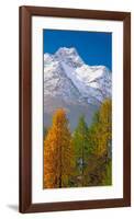 Denali Mount Mckinley Alaska-null-Framed Art Print