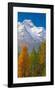 Denali Mount Mckinley Alaska-null-Framed Art Print