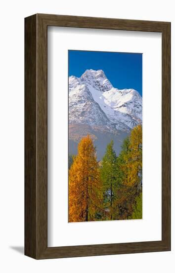 Denali Mount Mckinley Alaska-null-Framed Art Print