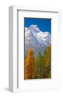 Denali Mount Mckinley Alaska-null-Framed Art Print