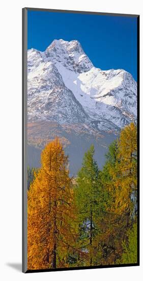 Denali Mount Mckinley Alaska-null-Mounted Art Print