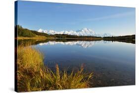 Denali Mountain and Reflection Pond-lijuan-Stretched Canvas