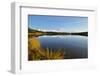 Denali Mountain and Reflection Pond-lijuan-Framed Photographic Print