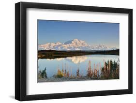 Denali Mountain and Reflection Pond-lijuan-Framed Photographic Print