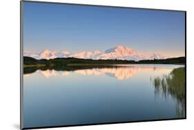 Denali Mountain and Reflection Pond-lijuan-Mounted Photographic Print