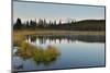 Denali Mountain and Wonder Lake at Sunrise-lijuan-Mounted Photographic Print