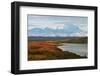 Denali Mountain and Wonder Lake at Sunrise-lijuan-Framed Photographic Print