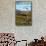 Denali National Park, Alaska - Caribou and Stoney Overlook-Lantern Press-Framed Stretched Canvas displayed on a wall