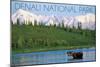 Denali National Park, Alaska - Moose and Water-Lantern Press-Mounted Art Print